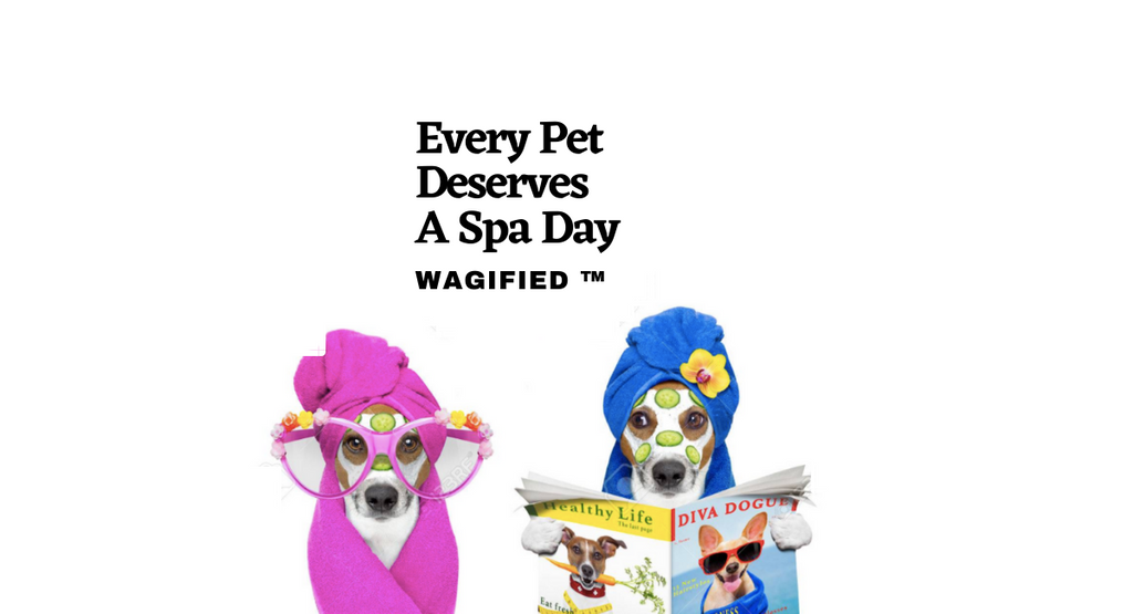 Bathing a dog