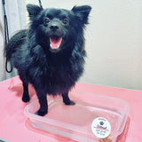 Wagified® Pet Friendly Bath Bombs for Dogs - Oatmeal - Organic